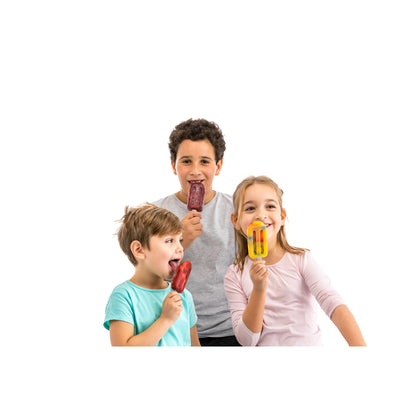 Stackable Big Ice Lolly Moulds Set of 4 - Mixed