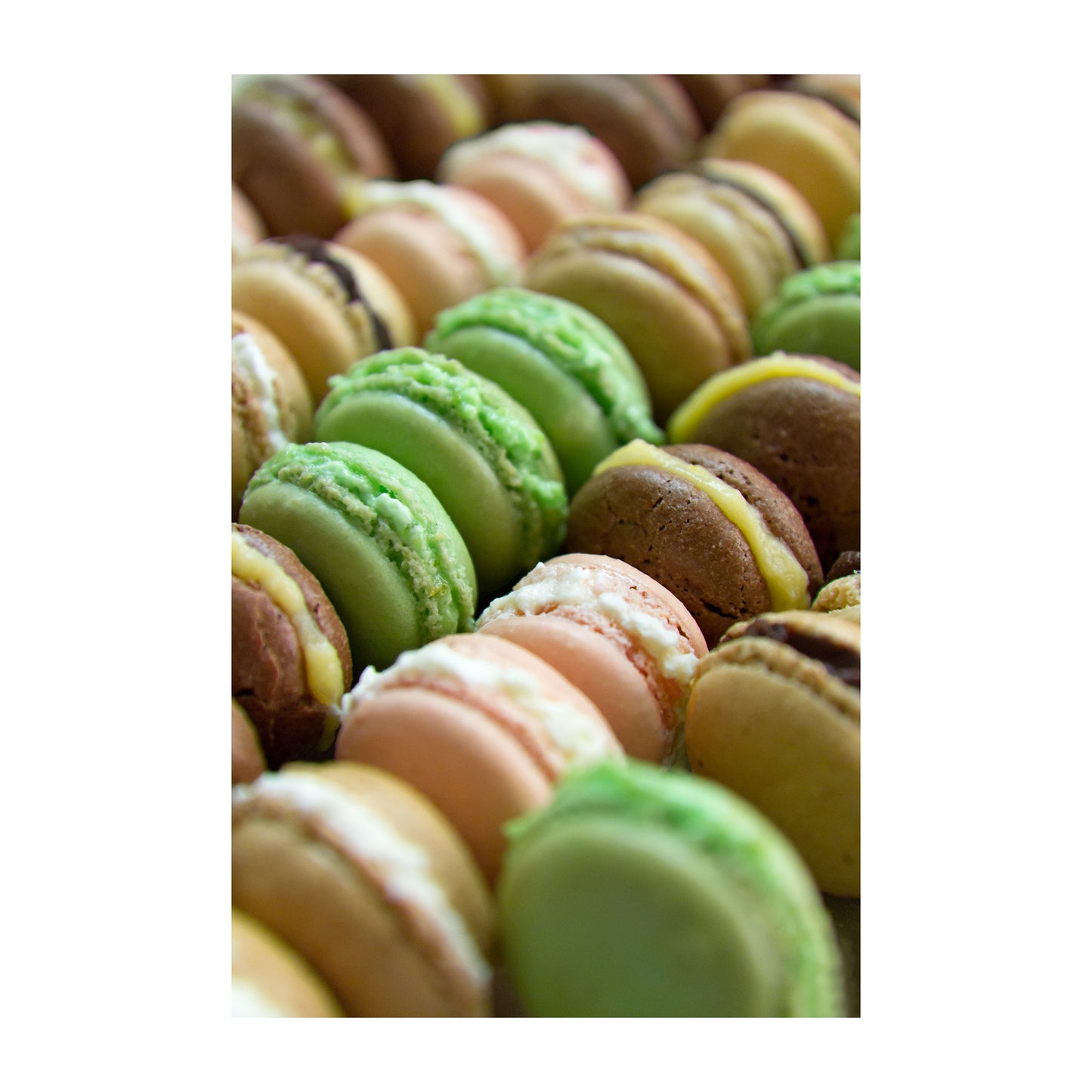 Macaron Kit - Brown
