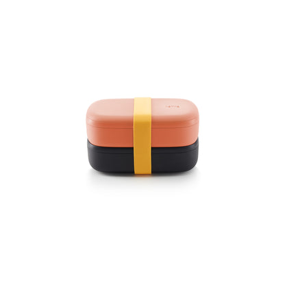 LunchBox To Go, 1L - Coral
