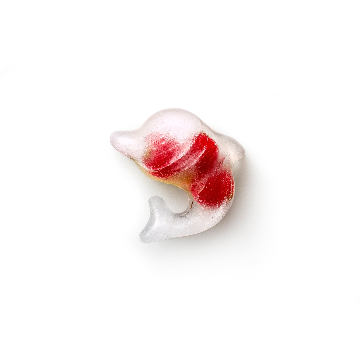 Dolphin Ice Cube Tray with Lid - Turquoise